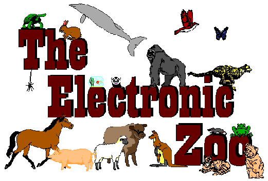 The Electronic Zoo
